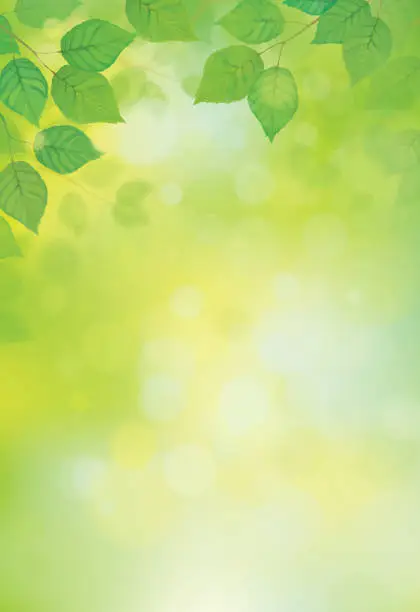 Vector illustration of Blurred sunshine background with vector green leaves