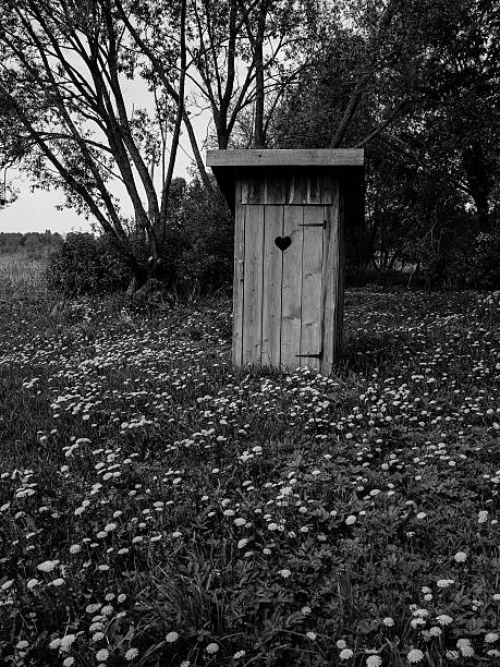 istock sunny summer countryside scene - monochrome 465141182
