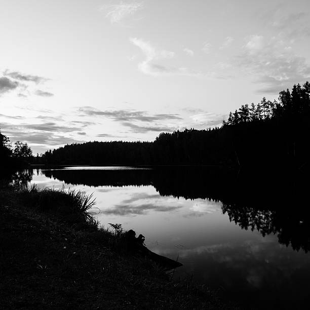 istock mountain river in summer surrounded by forest - monochrome 465141184