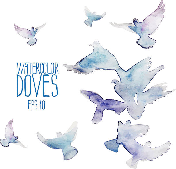 летающий doves - symbols of peace illustrations stock illustrations