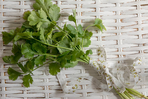 istock bouquet of fresh coriander or cilantro, on background white wick 465142984