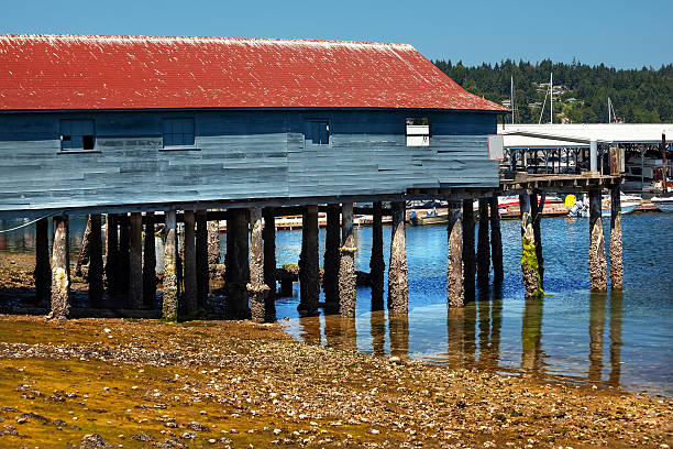 istock Old Fishing Dock Low Tide Gig Harbor Washington State 465148010