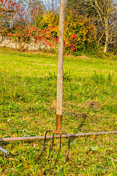 istock Pitchfork planted in the grassy ground near a rake 465148332