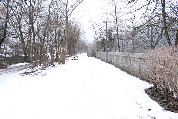 weg mit reifenspuren - snow dog walking running photos et images de collection