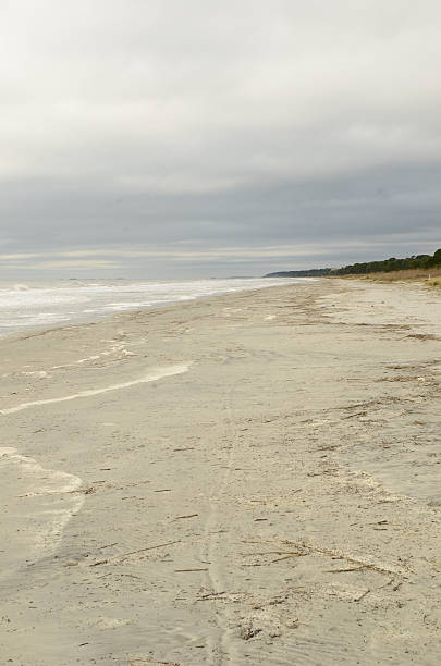 istock Beach on Hilton Head Island South Carolina 465149838