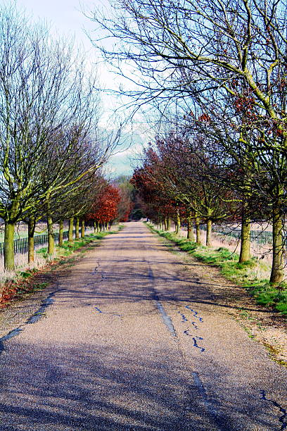 istock The old hunstanton road 465152926