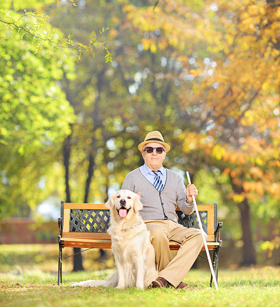 istock Senior blind gentleman sitting on a bench with his dog 465153629