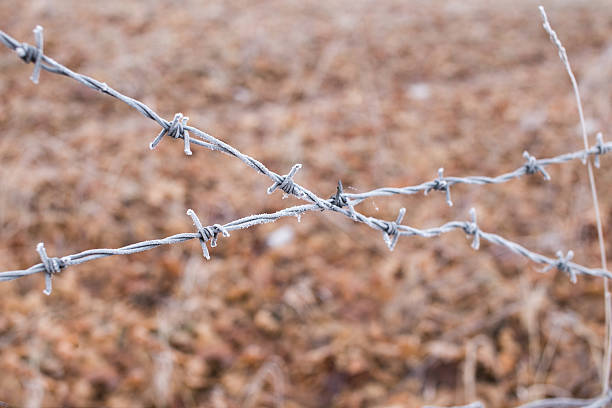 istock Barbed wire fence covered with hoarfrost 465156722