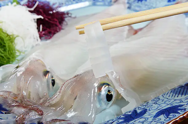 Delicious Japanese fresh raw seafood - calamari sashimi 