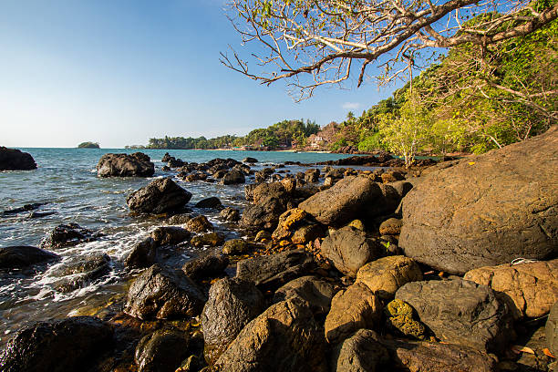 istock Plenty of beach rocks 465160278