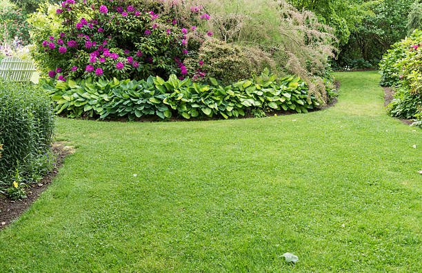 istock Lawn with flower garden 465160880