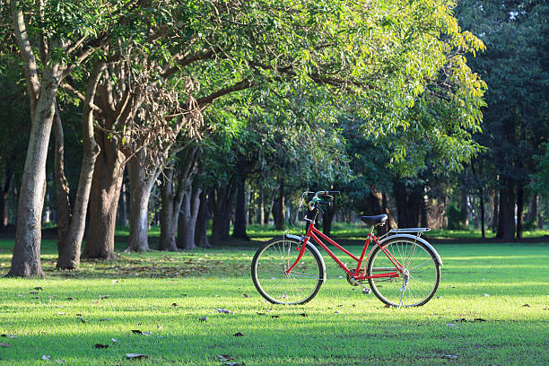istock Red bicycle on green grass in the park 465161218