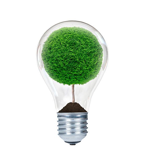 istock green tree inside of the electric light bulb 465162319