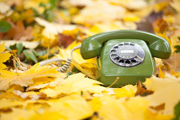 istock green vintage phone in yellow leaves 465163625