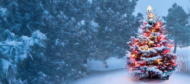 istock Christmas tree with Christmas lights covered in snow outside 465164315