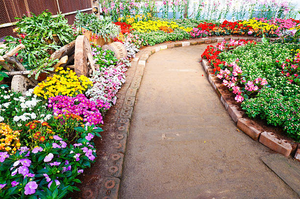 istock way in the garden 465164479