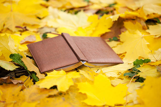 istock opened book laying in yellow leaves 465164877