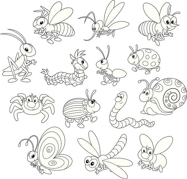 illustrations, cliparts, dessins animés et icônes de insectes - ladybug insect leaf beetle