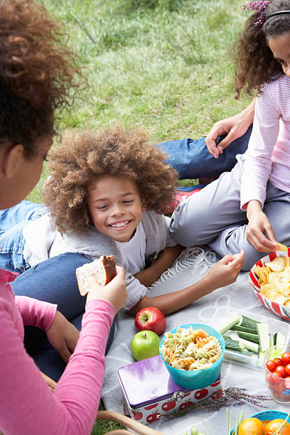 istock Family Having Picnic In Countryside 465168185
