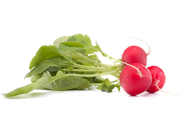 istock Small garden radish with leaves 465170455