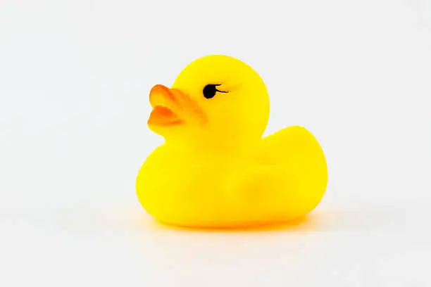 Yellow rubber duck isolated on the white background.