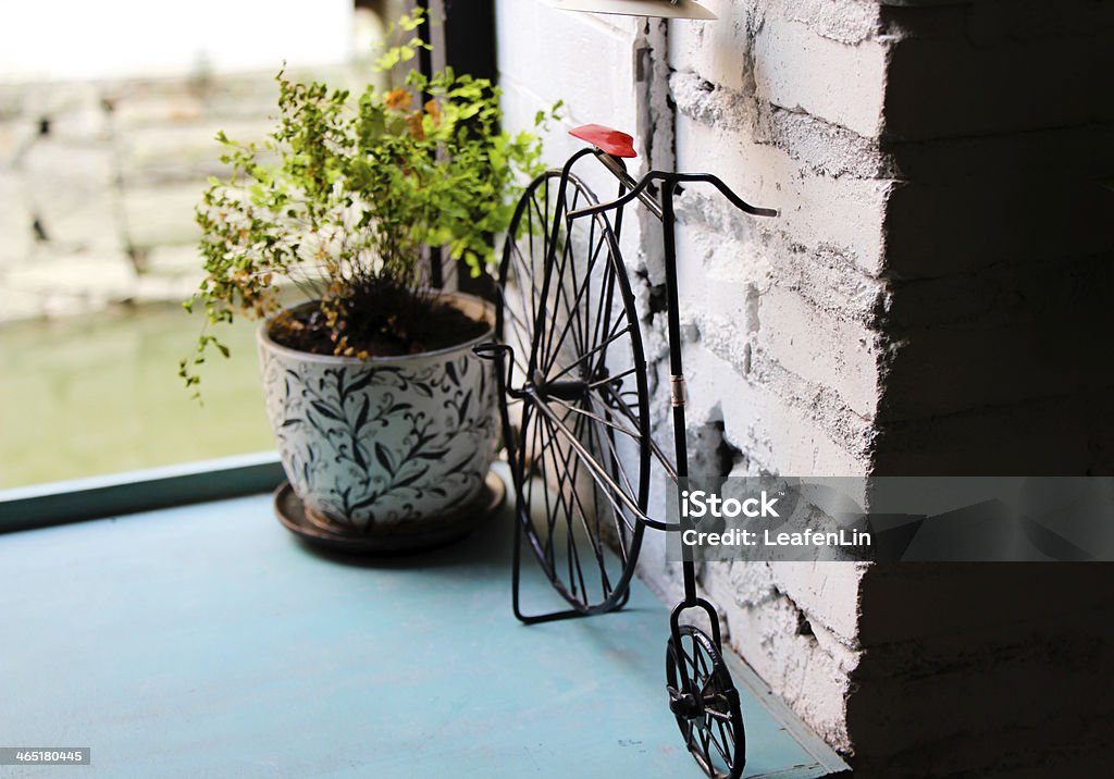 Plants placed sideways toy bike Affectionate Stock Photo