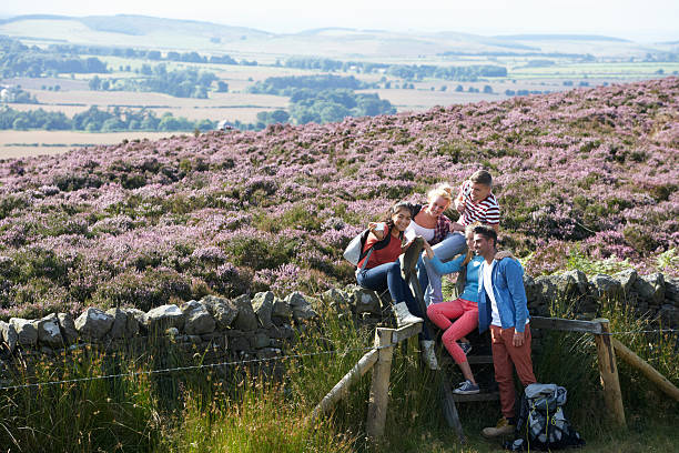 istock Group Of Young People Hiking Through Countryside 465182175