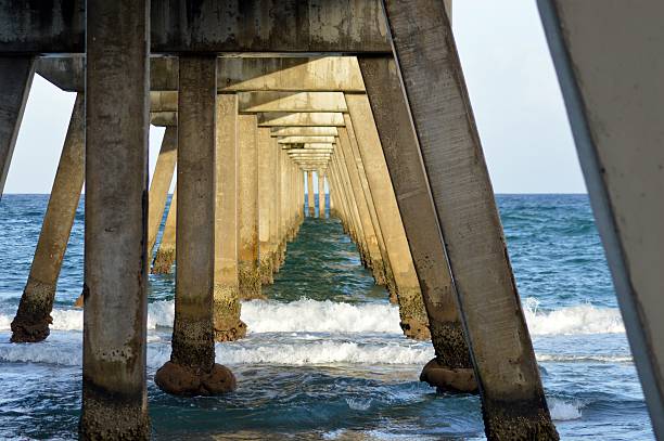 istock Beneath Fishing Pier 465182581