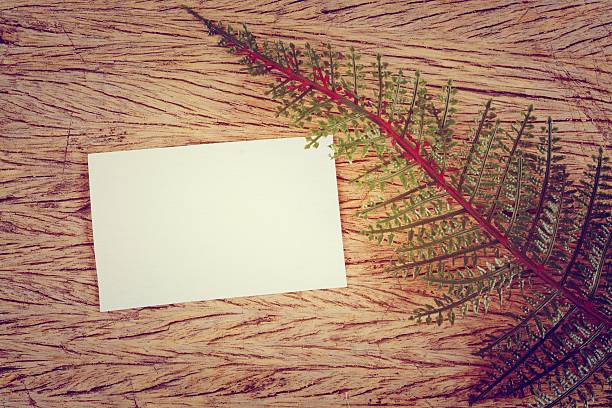 istock green leaves and blank card 465182633