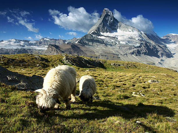 Matterhorn in summer from Sunnegga, Zermatt, Switzerland