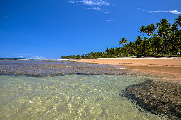 Beach of Taipu de Fora, Bahia (Brazil) stock photo