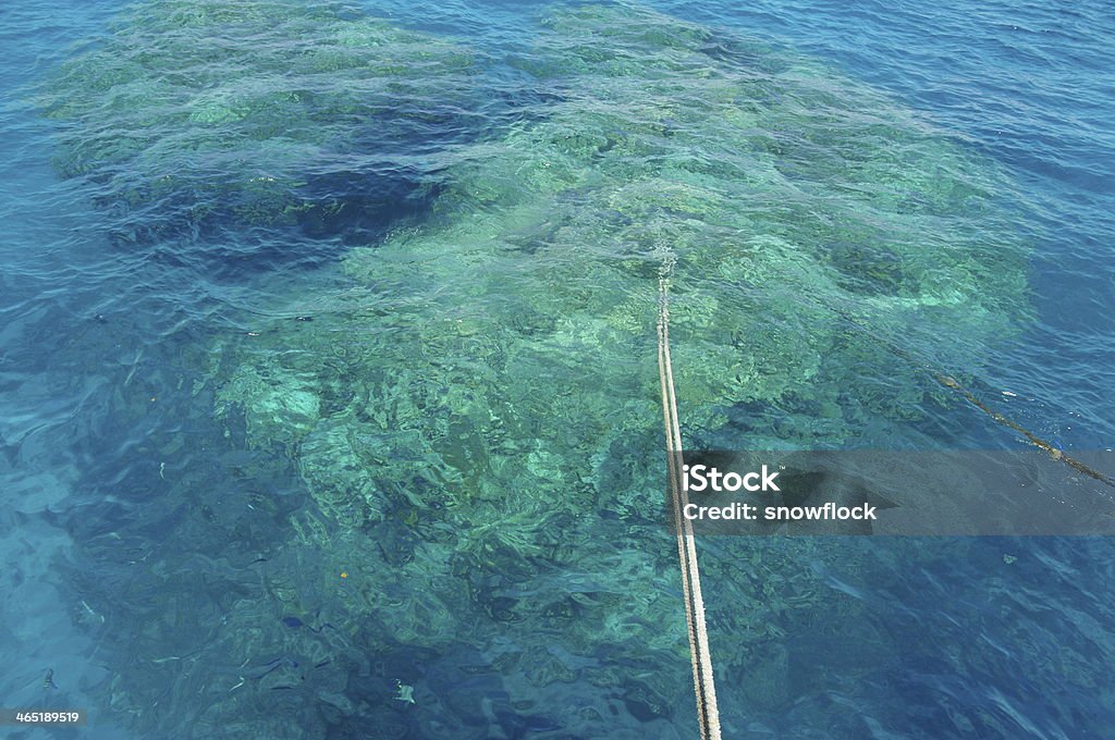 Abrigando recife de Coral - Foto de stock de Ancorado royalty-free