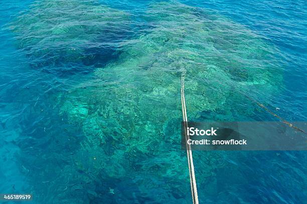 Recife De Coral De Ancoragem - Fotografias de stock e mais imagens de Ancorado - Ancorado, Antigo, Azul