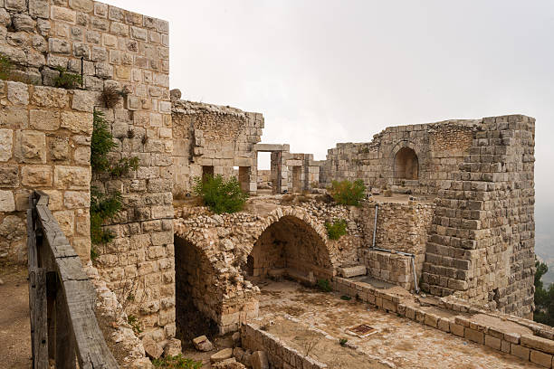 le château de à ajloun - ajlun photos et images de collection