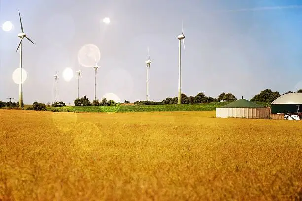 Grain field with wind turbines and biogas system