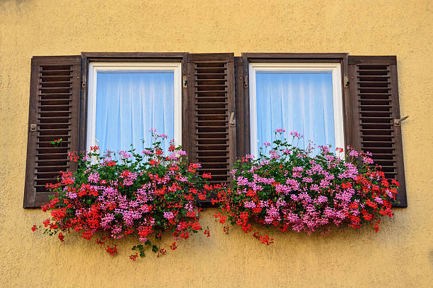 istock Old window with shutters in Tubingen, Germany 465195515