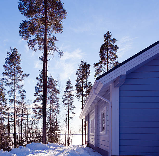 istock Winter lake in forest with house 465198622
