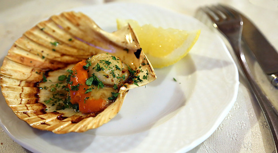 great Scallop Gratin with lemon and parsley in Italian seafood restaurant
