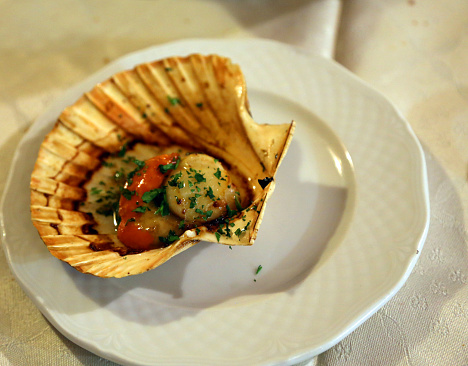 great Scallop Gratin with lemon and parsley in Italian seafood restaurant