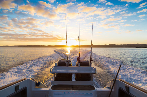 Looking behind a speeding boat in the early morning, watching the sunrise on Waiheke island, New Zealand