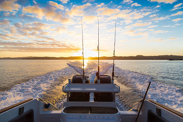 Sunrise from boat on Waiheke, New Zealand Looking behind a speeding boat in the early morning, watching the sunrise on Waiheke island, New Zealand sea wake stock pictures, royalty-free photos & images