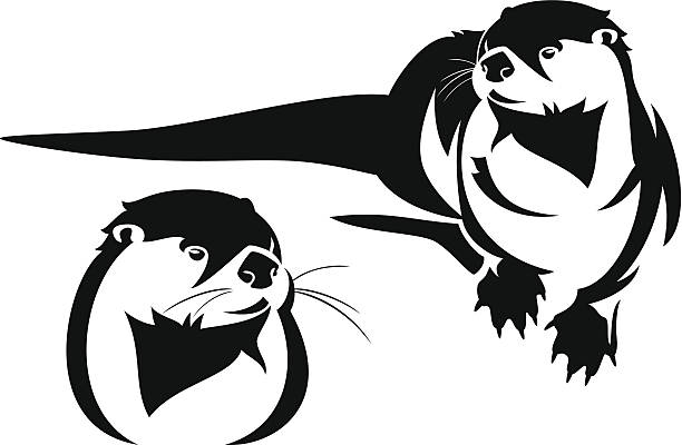 otter cute otter black and white vector illustration (high-resolution JPEG included) sea otter stock illustrations