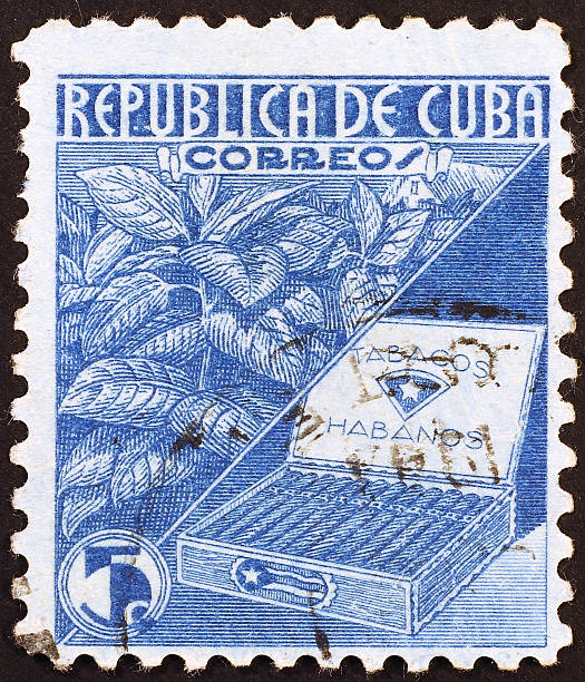 istock Cuban vintage stamp on tobacco industry 465221025