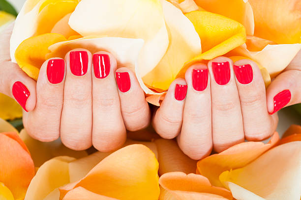 istock Female Hand Holding Flowers 465223659