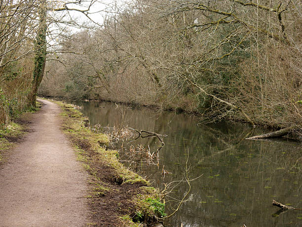 istock Forest Farm nature reserve 465227605