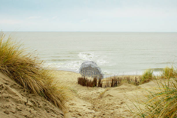 Breakwater at the beach made of rocks