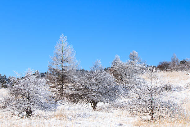 istock Plateau area on a clear Winter day 465231305