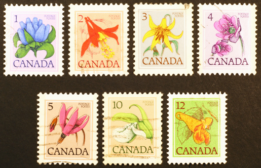 Series of canadian stamps on flowers