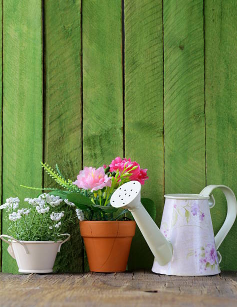 istock rustic still life watering can, flowers in pots, garden tools 465239751