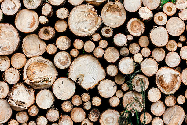 istock Wood pile in a detail record 465240763